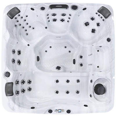 Avalon EC-867L hot tubs for sale in Plantation